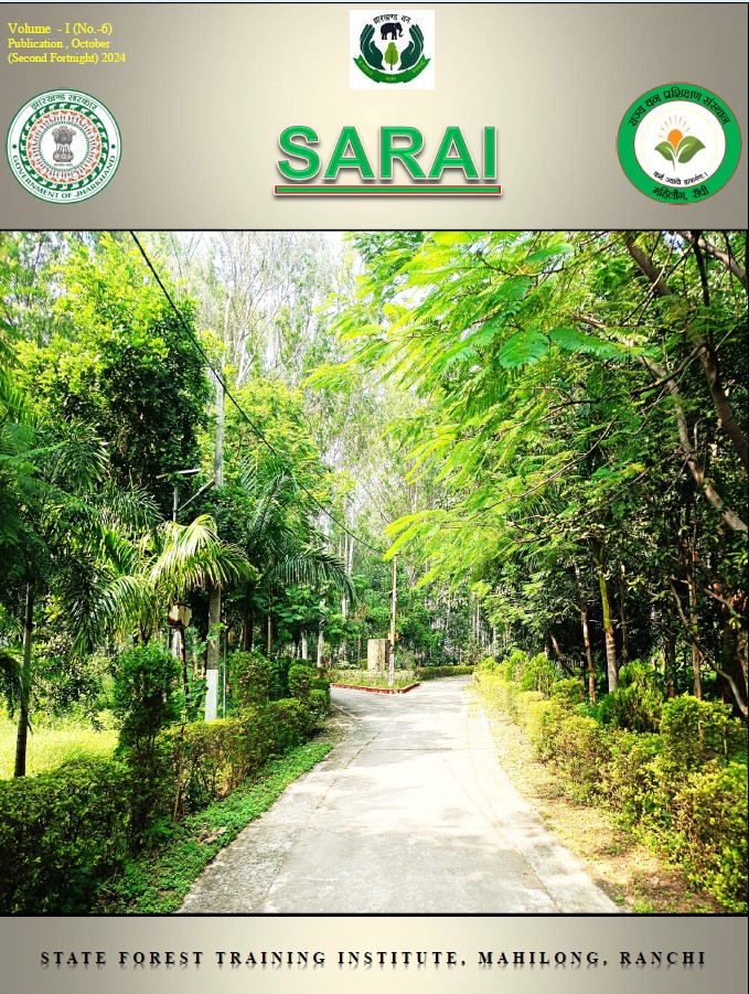 SARAI-6